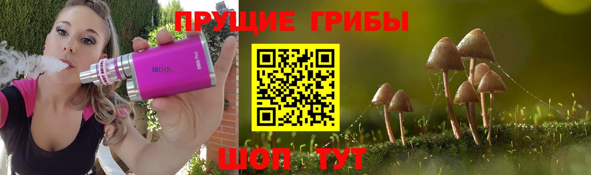 Псилоцибиновые грибы MAGIC MUSHROOMS  Вход с VPN  Псилоцибиновые грибы Cubensis  Саяногорск 